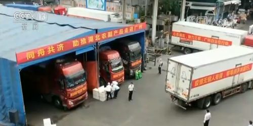 多措并舉拓銷路，湖北農副產品產銷兩旺譜新篇