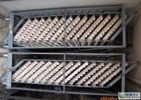 物美價廉，品質無憂 來自世界工廠網的優良柴雞蛋