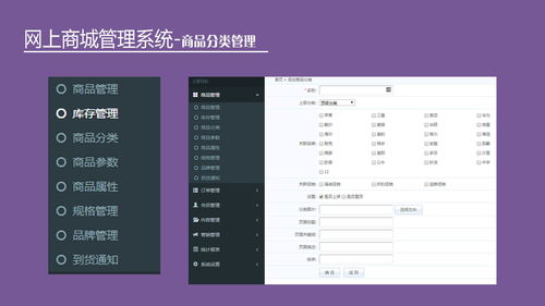 中小企業(yè)如何快速布局電子商務系統(tǒng)軟件開發(fā)